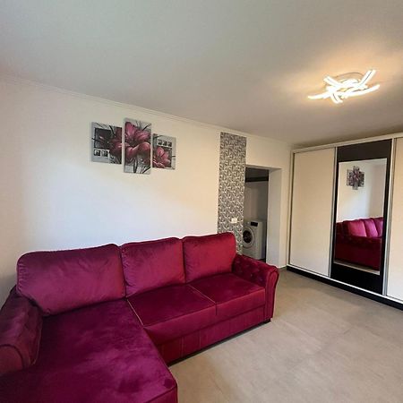 Făgăraş Calypso Rooms מראה חיצוני תמונה